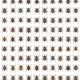 One hundred and three newly discovered species of the genus Trigonopterus from Sulawesi.